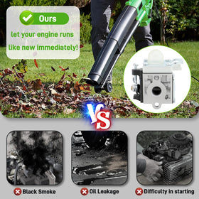 BioLion spark plug and vent set for steady ignition and breath of engine