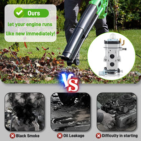 BioLion spark plug ensures reliable ignition under load.