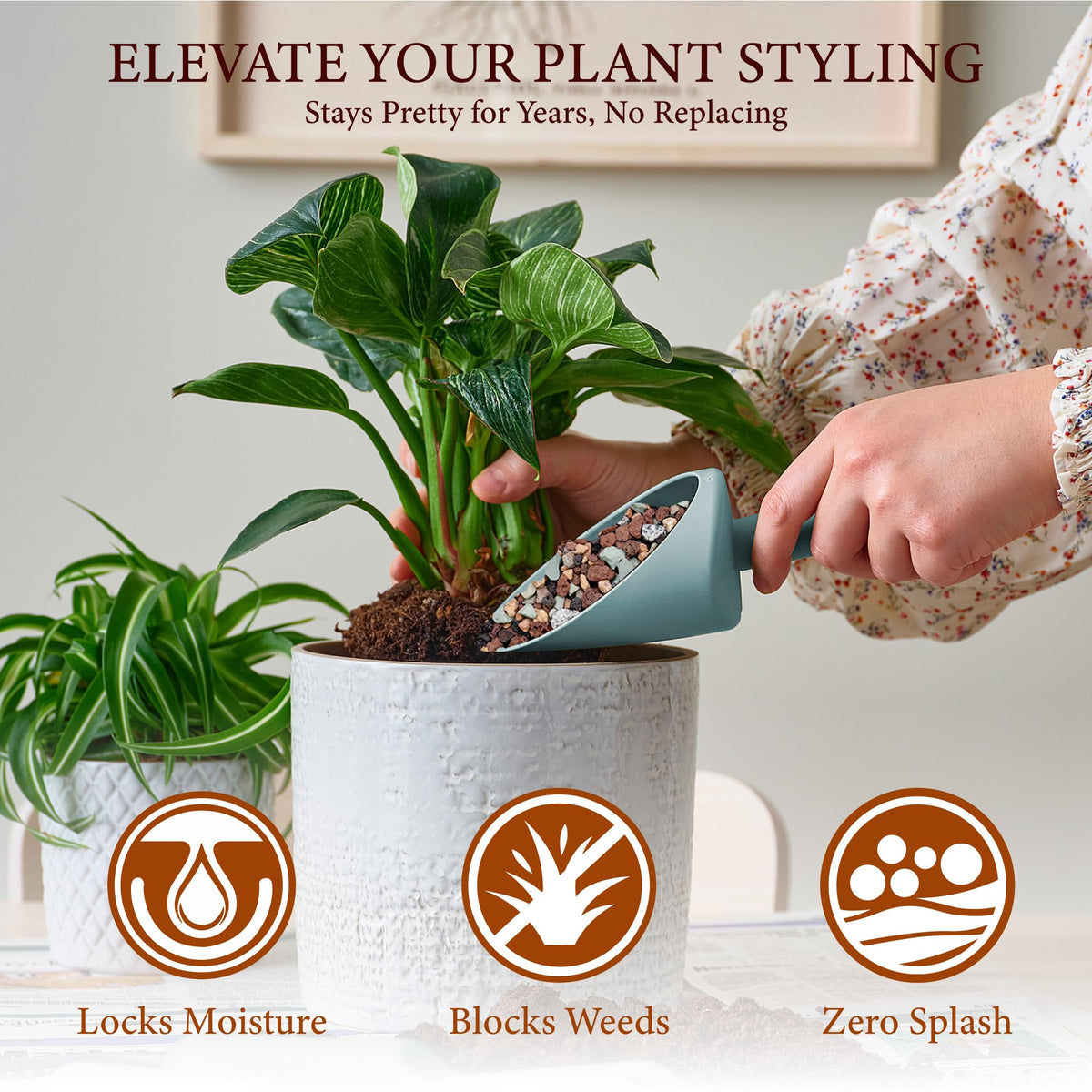 BIOMAND lava rocks ideal for bonsai potting and decorative top dressing.