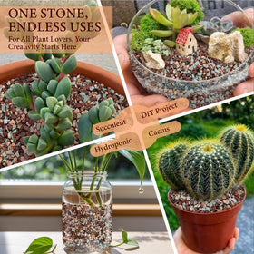 BIOMAND lava rocks provide a drainage layer to prevent waterlogging in pots.