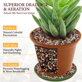 BIOMAND lava rocks show porous structure promoting drainage and aeration for strong roots.