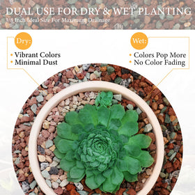 BIOMAND lava rocks durable and reusable for seasonal plant displays.