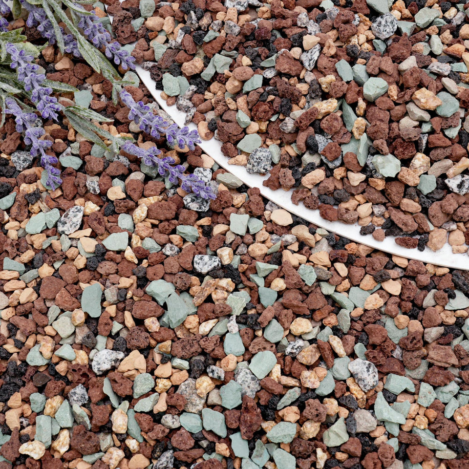BIOMAND lava rocks used as top dressing to add texture and moisture control features.