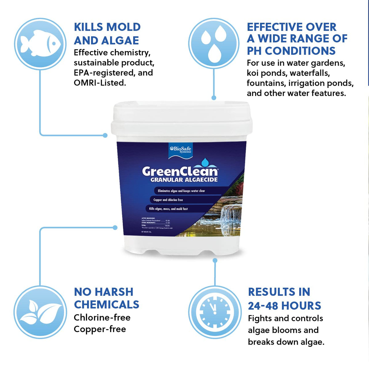 BioSafe GreenClean blue-green algae closeup showing fast contact kill; safe for fish and plants.
