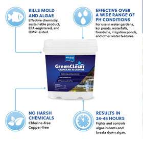 BioSafe GreenClean blue-green algae closeup showing fast contact kill; safe for fish and plants.