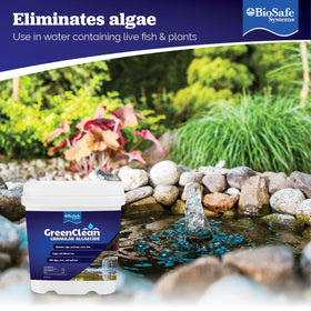 BioSafe GreenClean demonstrates fish-safe use in a pond water feature.