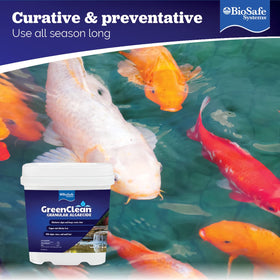 BioSafe GreenClean sunlight activation for oxygen release in water features.
