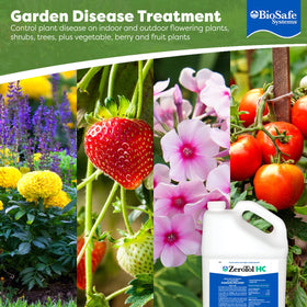 BioSafe ZeroTol HC disinfects greenhouse hard surfaces to reduce pathogens.