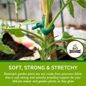 Biostretch plant tape supports climbing plants without damage on vines