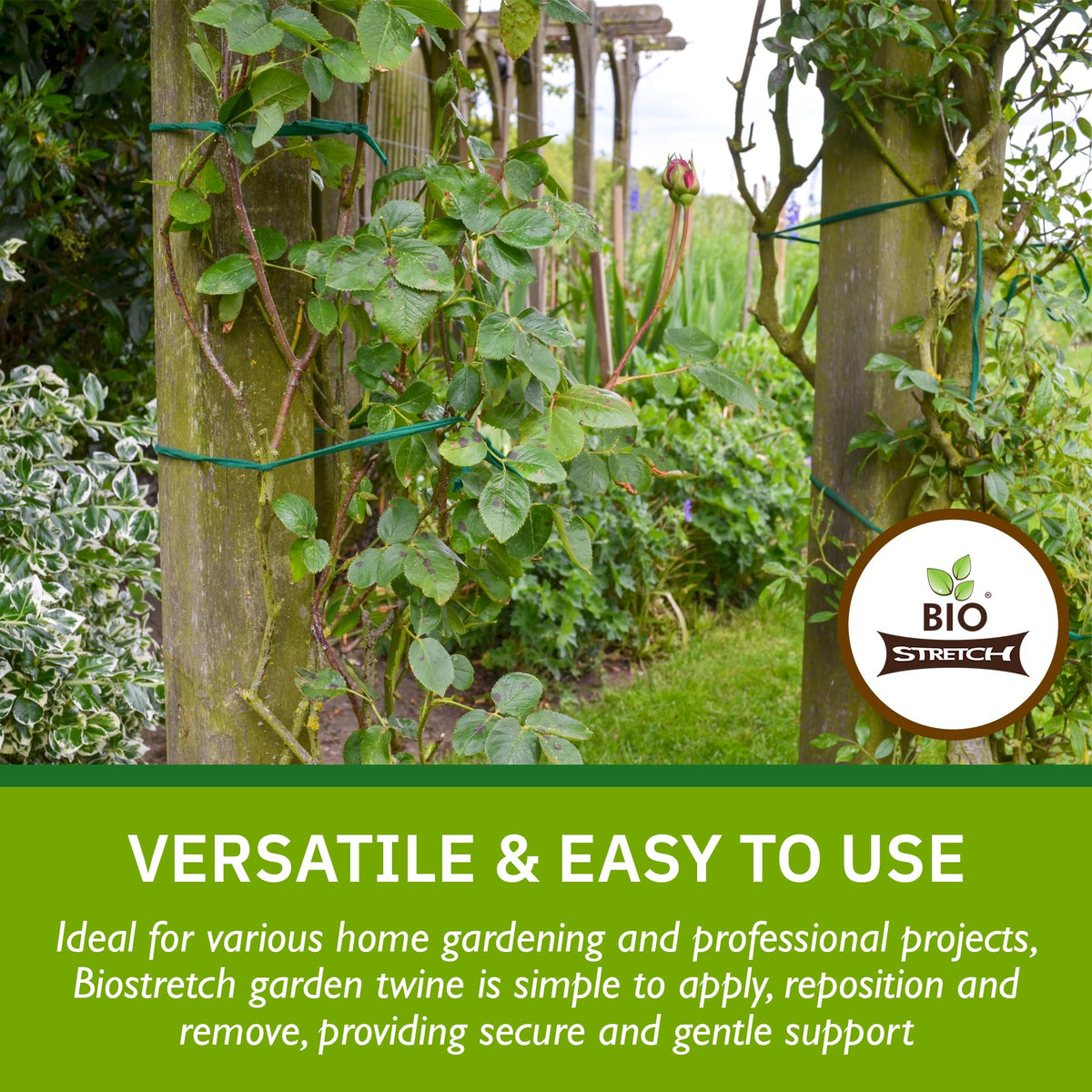 Biostretch natural-material ties offering safe support for young trees and vines