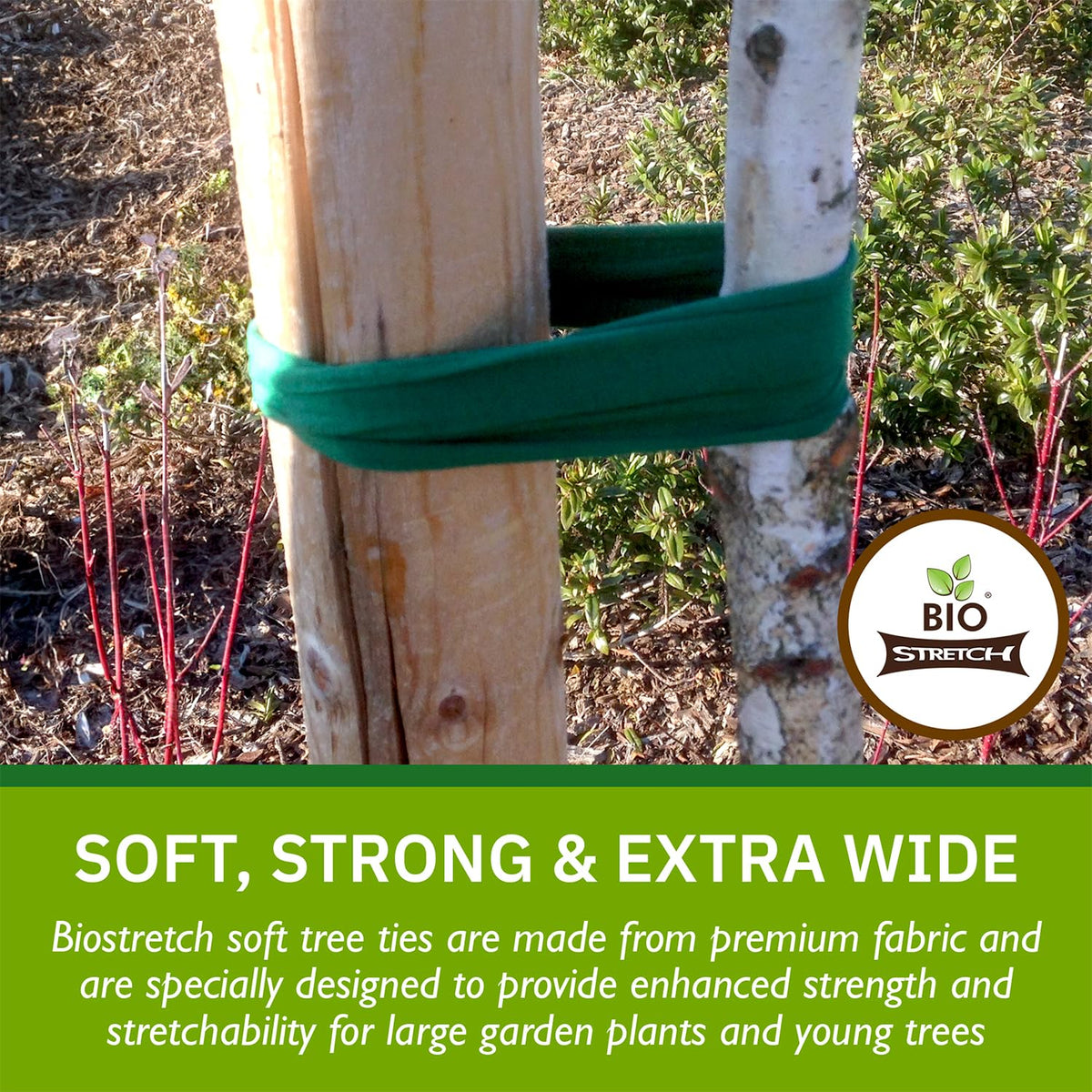 Biostretch tree ties in use with stakes provide gentle support that grows with plants