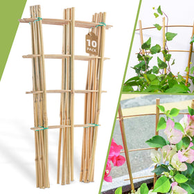 Biotolot 10-pack bamboo trellis ladder supports climbing plants in pots