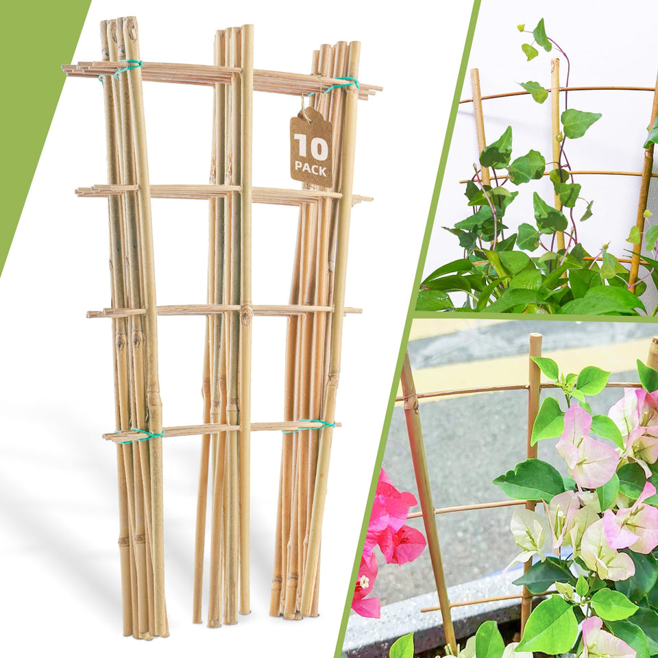 Biotolot 10-pack bamboo trellis ladder supports climbing plants in pots