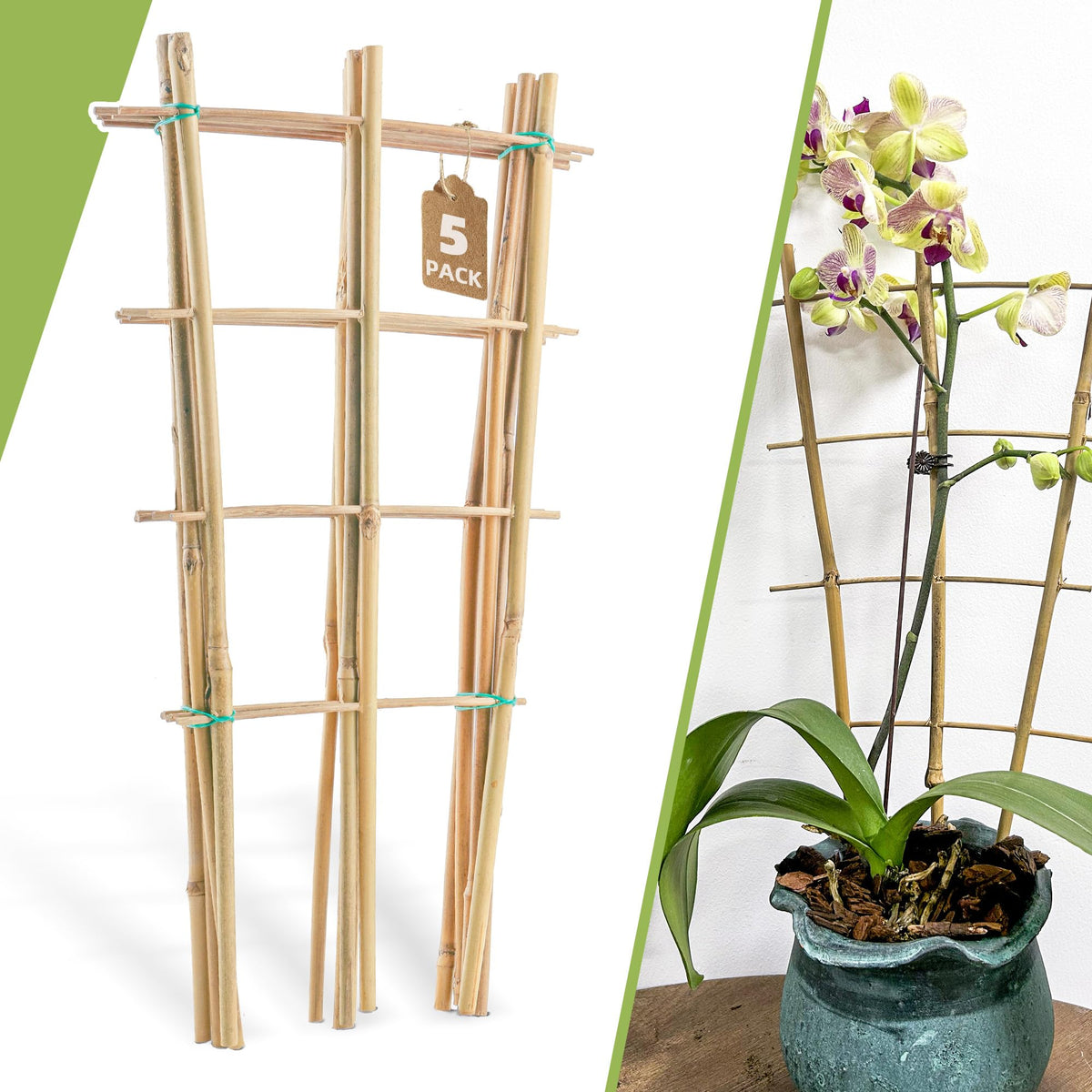 Biotolot 5-pack bamboo trellis ladder fan supports climbing plants upward in pots.