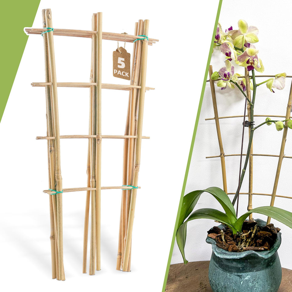 Biotolot 5-pack bamboo trellis ladder fan supports climbing plants upward in pots.