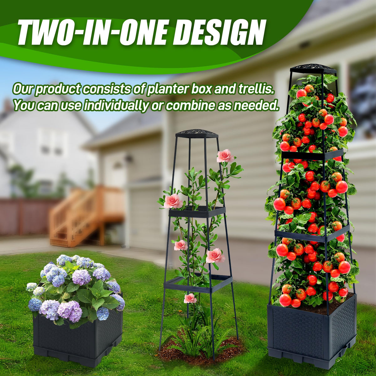 Biotolot adjustable height trellis supports vine growth
