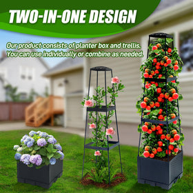 Biotolot adjustable height trellis supports vine growth