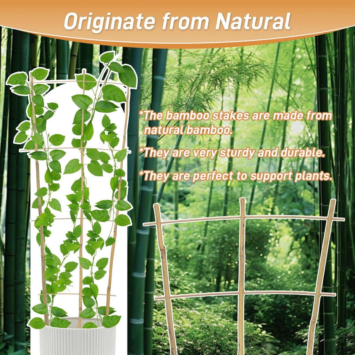 Biotolot natural bamboo lattice blends with garden decor