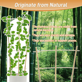 Biotolot natural bamboo lattice blends with garden decor