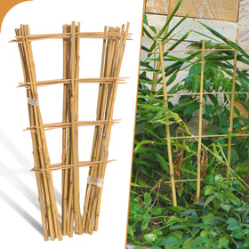 Biotolot bamboo trellis 2ft ladder supports upward growth for potted plants