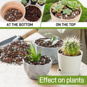 Biotolot bonsai soil contains perlite to enhance aeration and drainage.