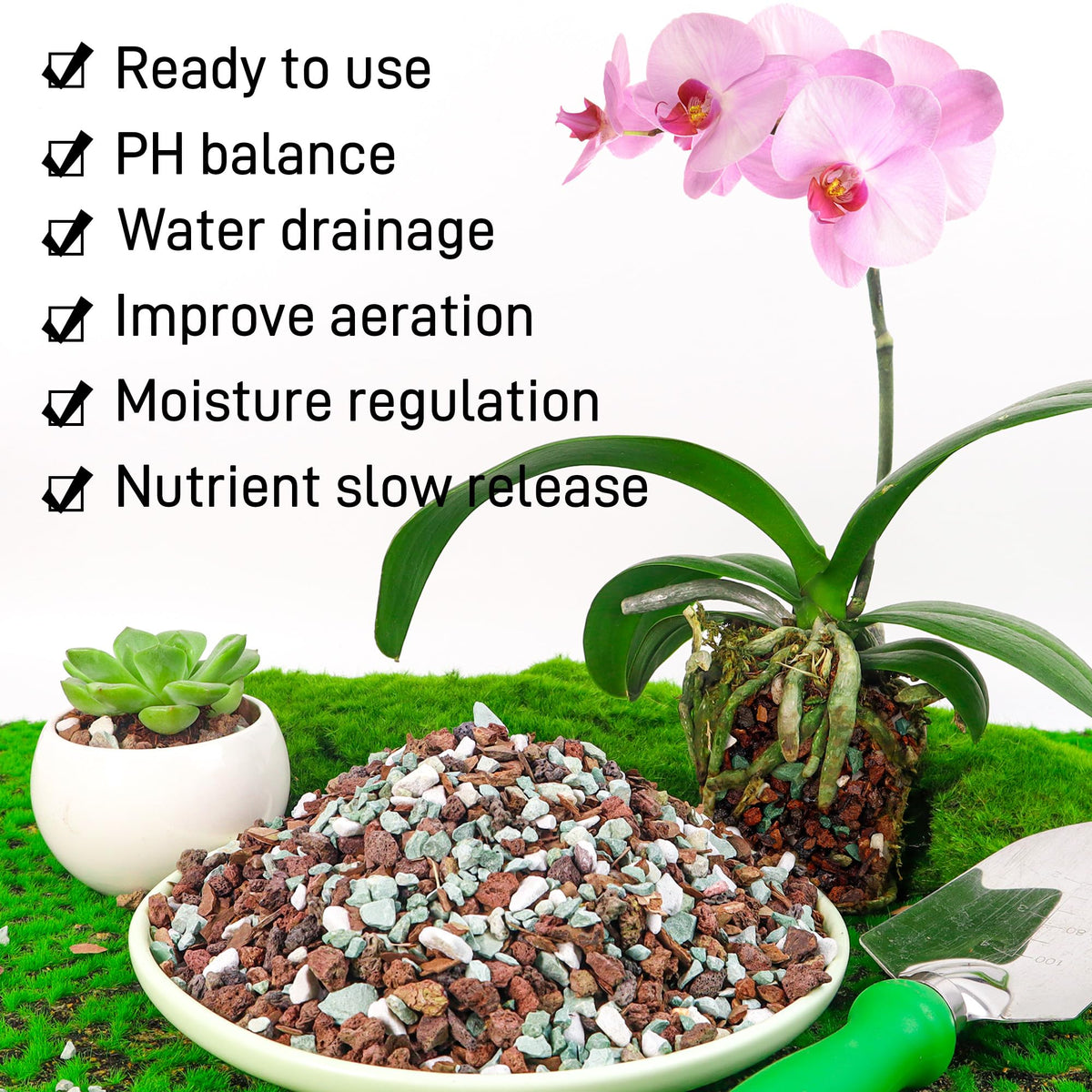 Biotolot bonsai soil includes red volcanic rock for stability and media balance.