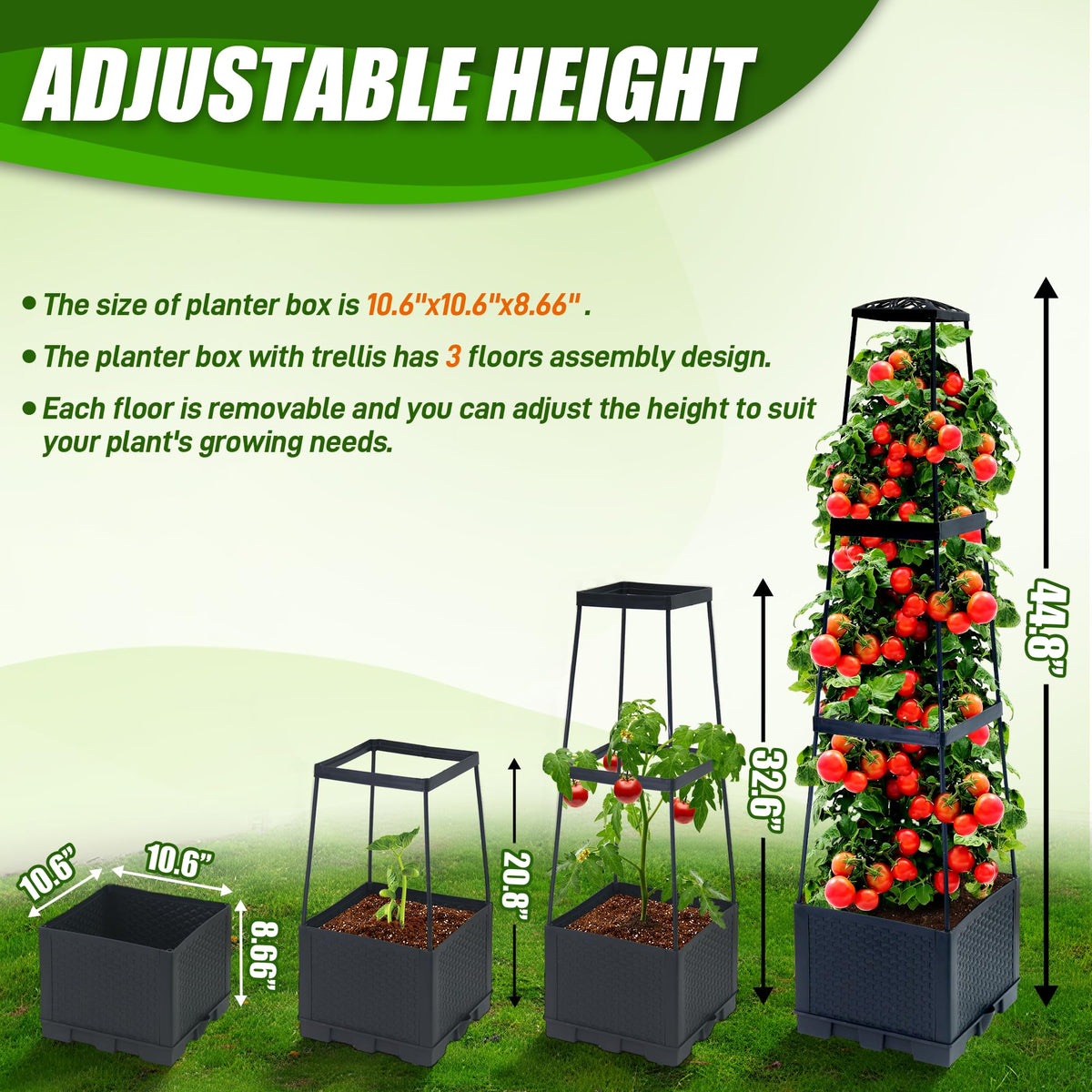 Biotolot buckle-secure assembly for tool-free setup