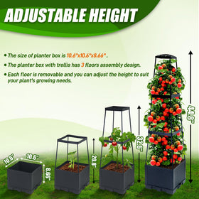 Biotolot buckle-secure assembly for tool-free setup
