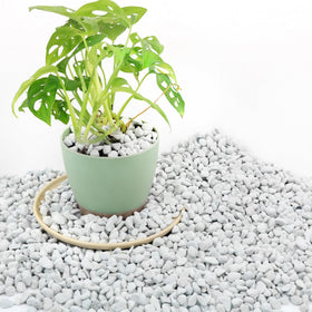 Biotolot chunky perlite 3qt aids drainage for healthier potted plants