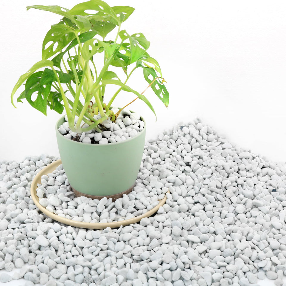 Biotolot chunky perlite 3qt aids drainage for healthier potted plants