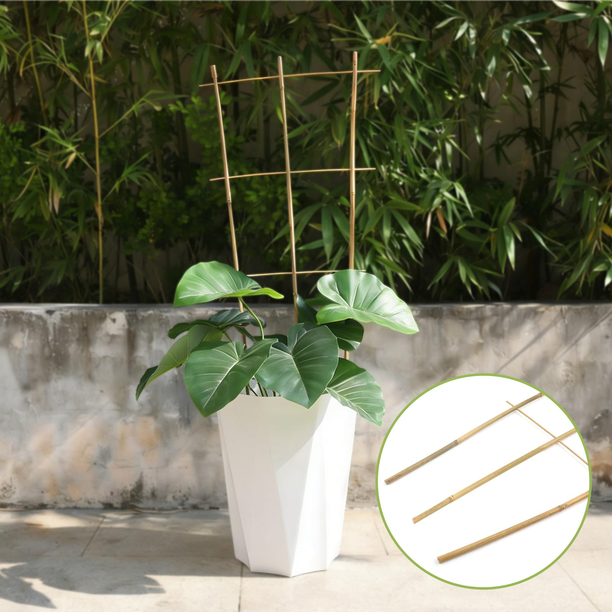 Biotolot natural bamboo trellis enhances door-side plant displays.
