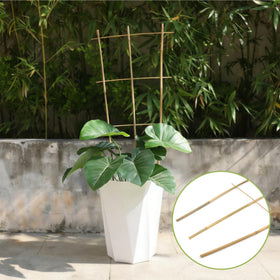 Biotolot natural bamboo trellis enhances door-side plant displays.