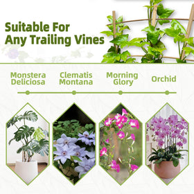 Biotolot eco-friendly bamboo trellis for vegetables and flowers climbers