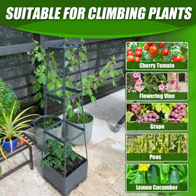 Biotolot ideal for indoor and outdoor gardens to save space