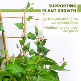 Biotolot ladder fan design trellis ideal for ivy and morning glory
