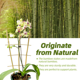 Biotolot natural bamboo plant-support frame blends with garden decor