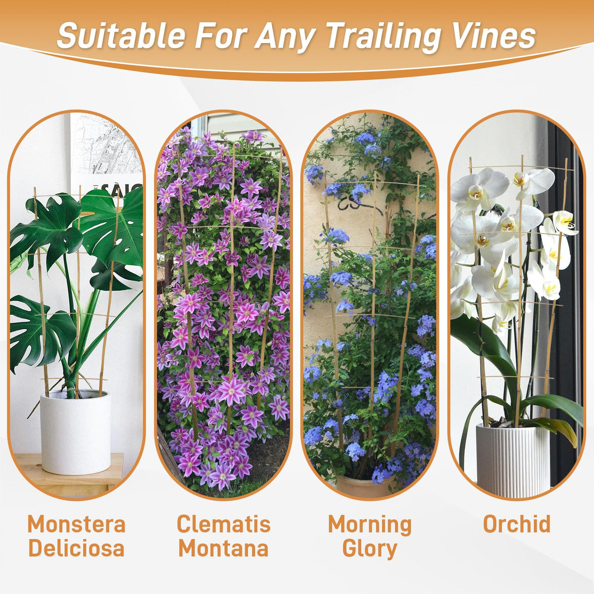 Biotolot 10-pack bamboo trellis for versatile container setups