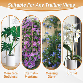 Biotolot 10-pack bamboo trellis for versatile container setups