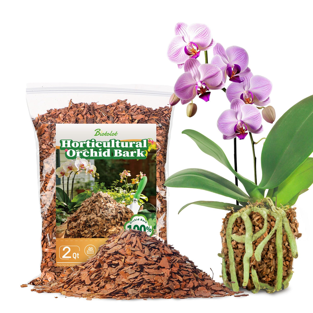 Biotolot Orchid Bark 2qt bag view for orchid root aeration and drainage