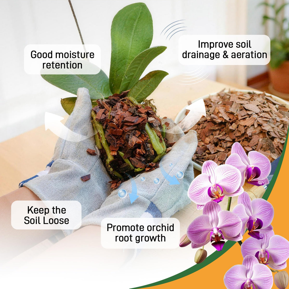 Biotolot orchid bark scene illustrating moisture retention and drainage balance