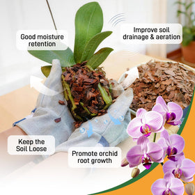 Biotolot orchid bark scene illustrating moisture retention and drainage balance