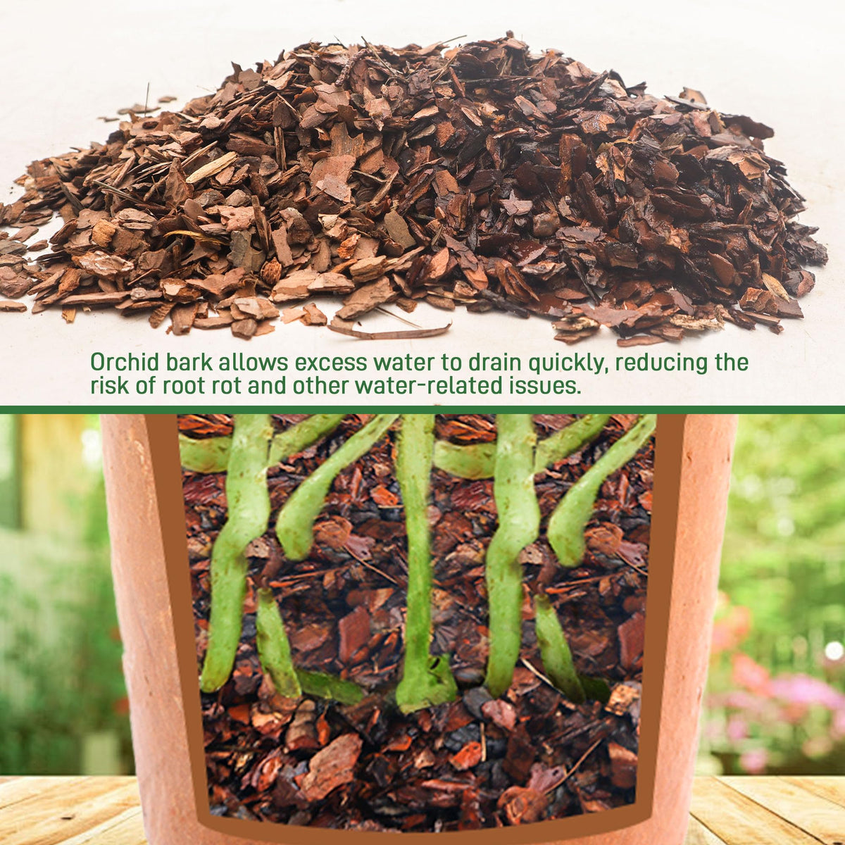 Biotolot orchid bark natural color closeup highlighting ½ inch size