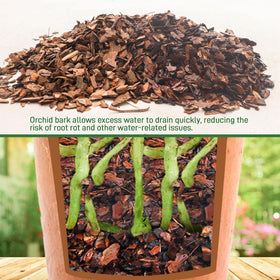 Biotolot orchid bark natural color closeup highlighting ½ inch size