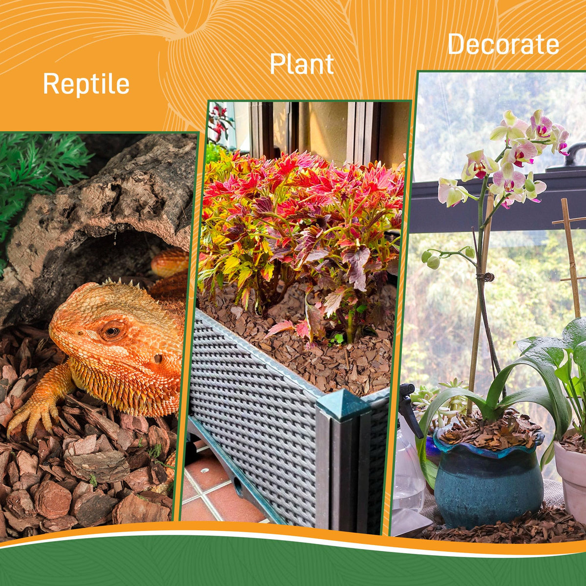 Biotolot orchid bark use scenario in a pot with plants