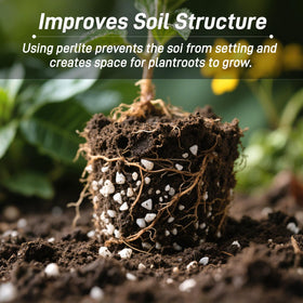 Biotolot Perlite improves orchid potting mixes with airy texture.