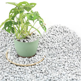 Biotolot Perlite in potting soil enhances drainage for healthy roots.
