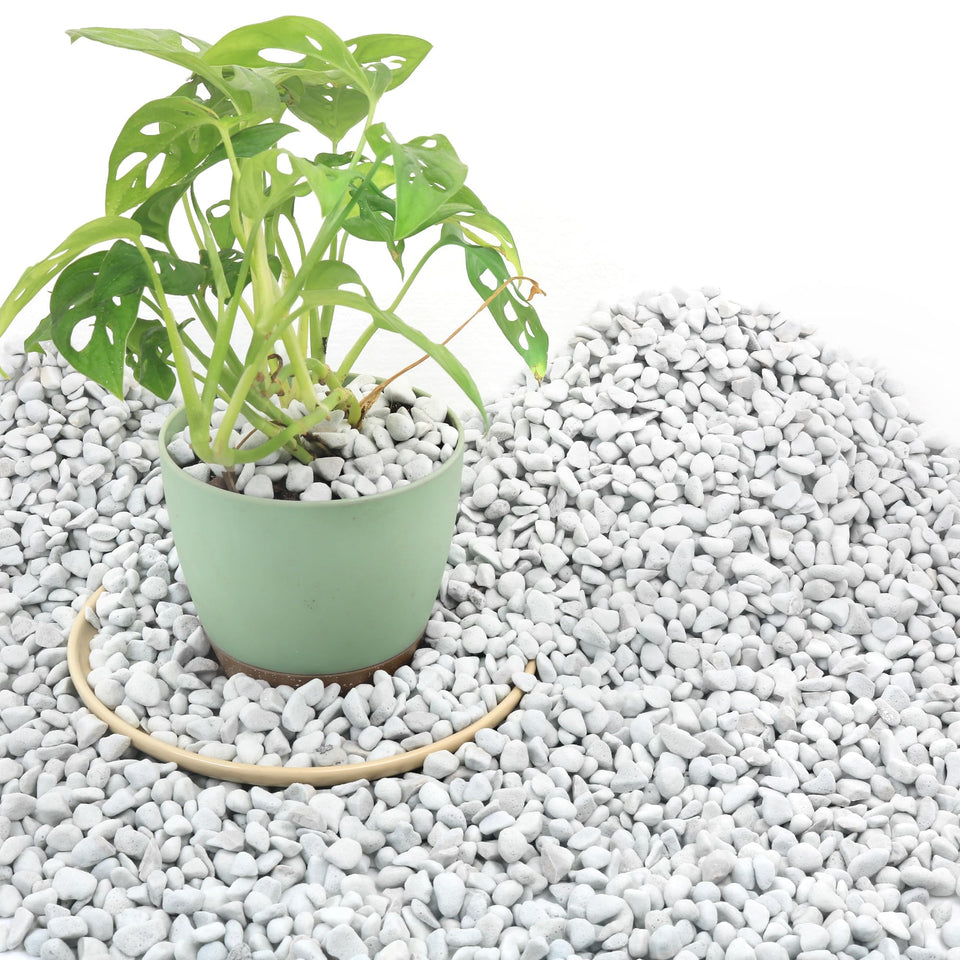 Biotolot Perlite in potting soil enhances drainage for healthy roots.
