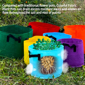 Biotolot potato and tomato grow bags for vegetables and crops