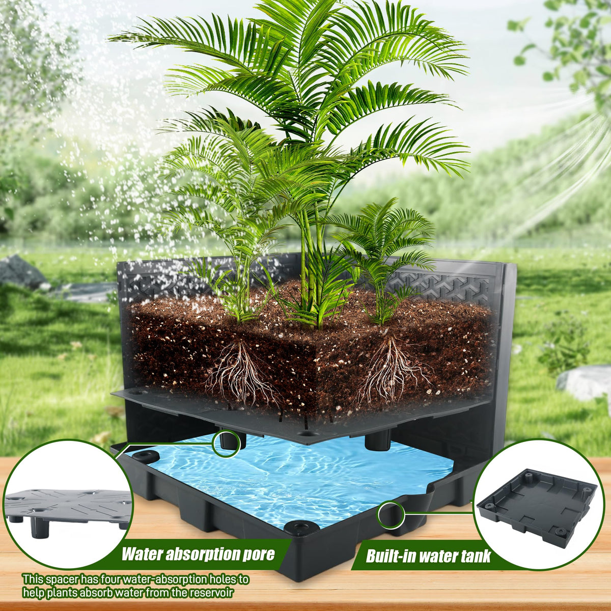 Biotolot self-watering reservoir keeps tomato plants consistently hydrated