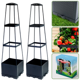 Biotolot tomato planter with trellis for compact patio gardening